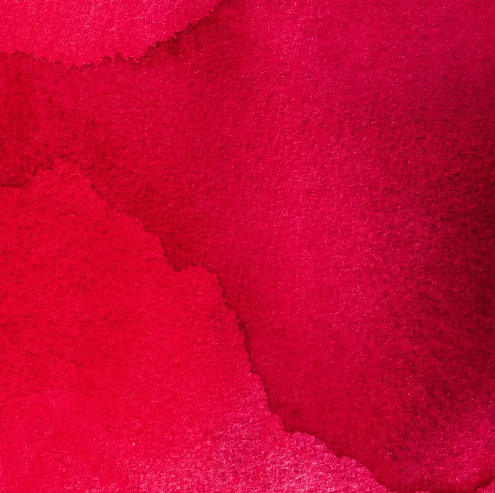 Tusz do kaligrafii India Ink - Speedball - Ruby 29 ml