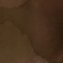 Tusz do kaligrafii India Ink - Speedball - Sepia 29 ml
