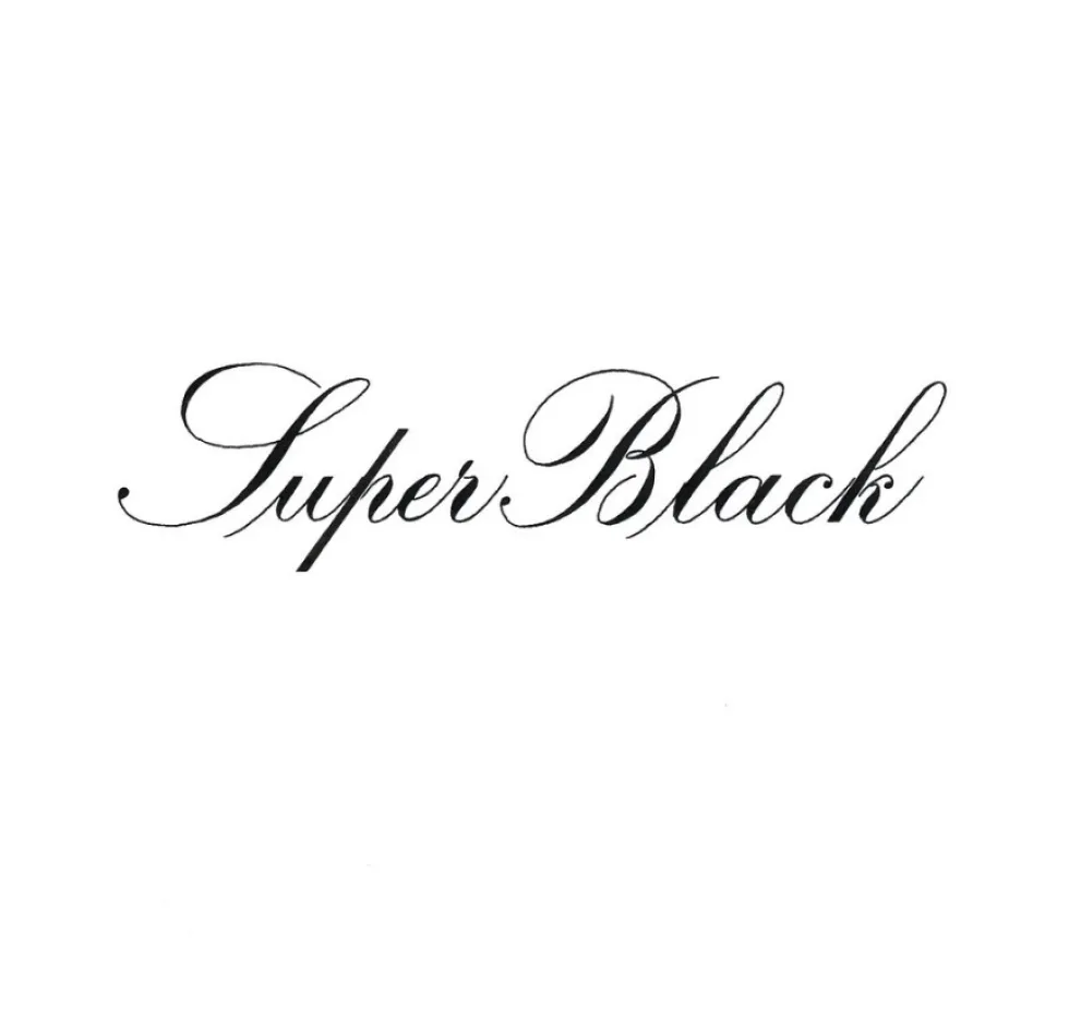 Tusz do kaligrafii India Ink - Speedball - Super Black 946 ml