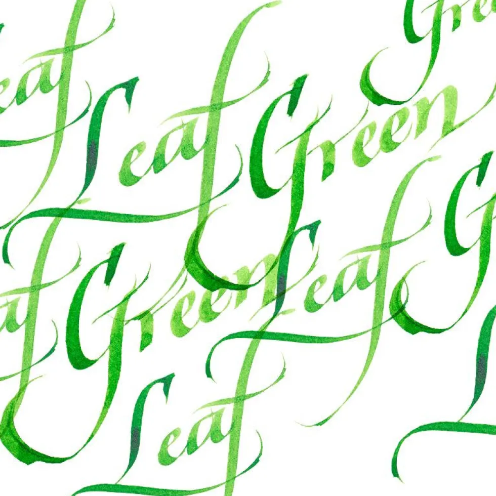 Tusz do kaligrafii - Winsor & Newton - leaf green, 30 ml