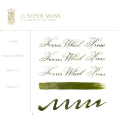 Tusz wodoodporny - Ferris Wheel Press - Juniper Moss, 28 ml
