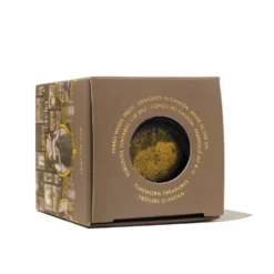 Tusz wodoodporny - Ferris Wheel Press - Timeworn Treasures 28 ml