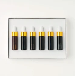 Zestaw mini atramentów Botanical - Tom's Studio - 6 x 5 ml