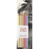 Zestaw pasteli suchych w kredce Pastel Pencils, Portrait - Conté à Paris - 6 szt.