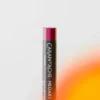 Zestaw pasteli woskowo-olejnych Neoart 6901 - Caran d'Ache - 24 kolory