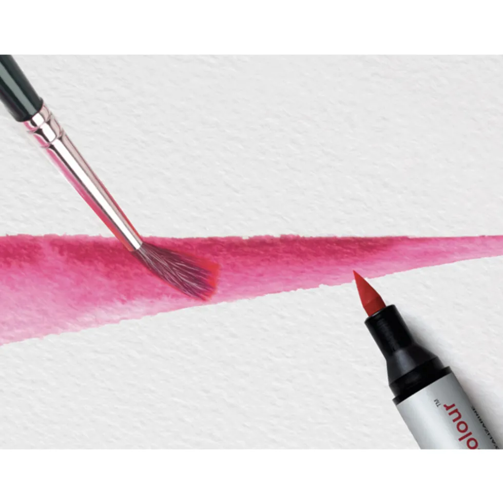 Zestaw Promarker Watercolor - Winsor & Newton - Basic, 12 szt.