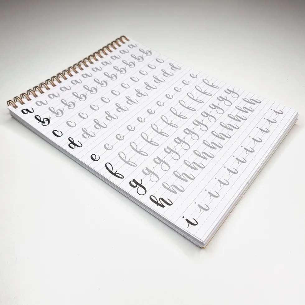 Zeszyt z ćwiczeniami do brush letteringu Bounce, B5 - Devangari - 170 g/m2