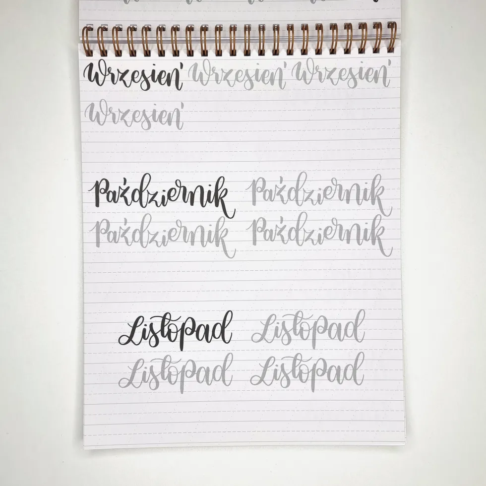 Zeszyt z ćwiczeniami do brush letteringu Bounce, B5 - Devangari - 170 g/m2